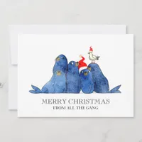 Festive Sea Lions Watercolor Holiday Card