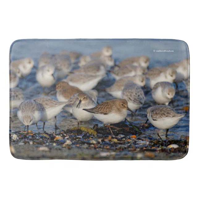 Flock of Dunlins and Sanderlings at the Beach Bath Mat