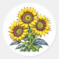 Watercolor Sunflowers Floral Classic Round Sticker