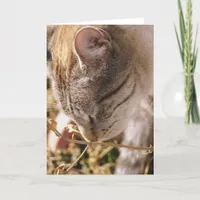 Stop and Smell the Flowers Card