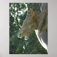 A Plaza Fountain Horse Poster