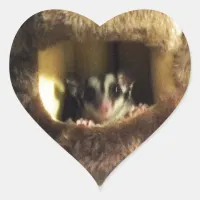 Sugar Glider in Furry Tree Truck Hanging Bed Heart Sticker