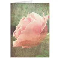 Vintage Rose
