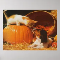Kitten, Pumpkin and Puppy Print