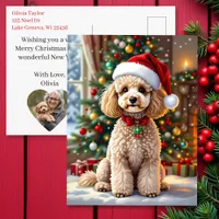 A Cute Poodle Christmas Personalized Holiday Postcard