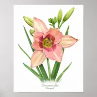 Orange Daylily Original Art Print