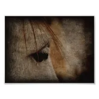 Grey Horse Face Grunge Photo Print
