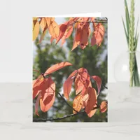 Autumn Leaves Card