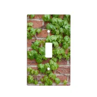 Vines and Brick Wall Light Switch Cover