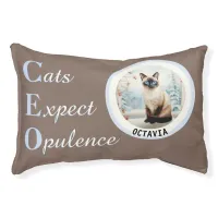 Cats Expect Opulence CEO Photo Name Pillow Pet Bed