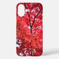 Bright Red Japanese Maple Tree iPhone 16 Plus Case