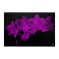 Orchid shadow on a dark background acrylic print