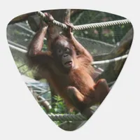 Baby Orangutan - Hang in there Guitar Pick