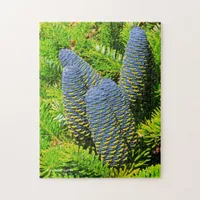 Big Blue Korean Fir Cones Jigsaw Puzzle