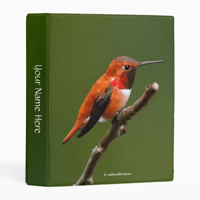 Stunning Rufous Hummingbird on the Cherry Tree Mini Binder