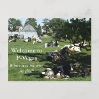 P-Vegas Platteville, Wisconsin Postcard