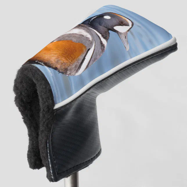 Beautiful Harlequin Duck on the Rock Golf Head Cover