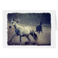 Two Horses All Occasions Greeting Card