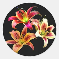 Elegant Trio of Yellow Pink Daylilies Floral Classic Round Sticker
