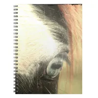 Blue-Eyed Horse Grunge Notebook