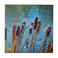 Cattails on the Pond Tile