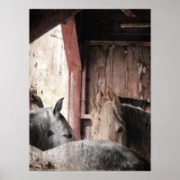 Horses in a Barn on a Rainy Day Poster