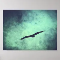 Soar Poster