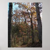 Forest path poster