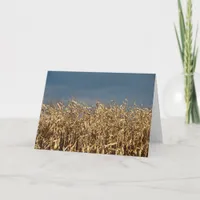 Corn Field Card