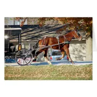 Fall Amish Horse Cards