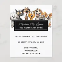 Funny Crazy Cats Dogs Pet Sitter Modern White Flyer