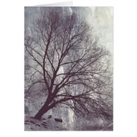 Winter Tree