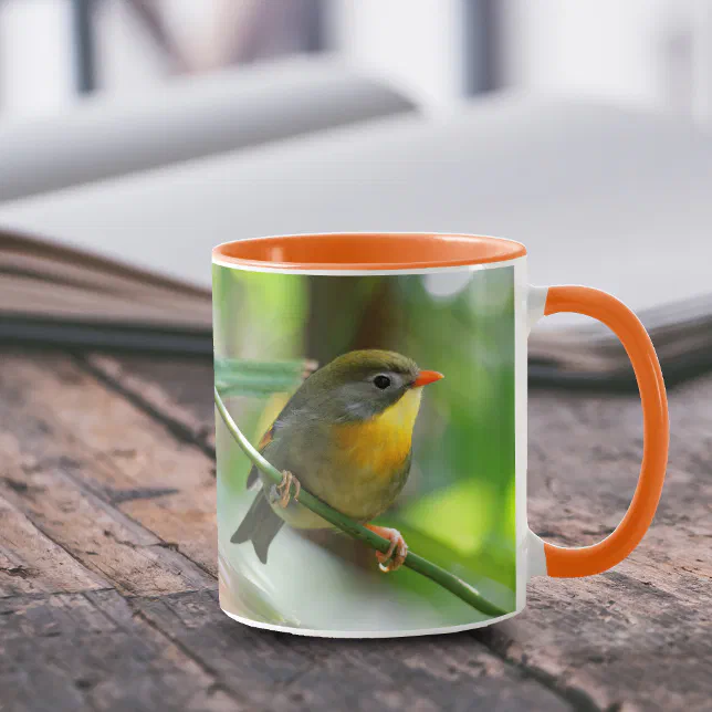 Colorful Pekin Robin Songbird on Branch Mug