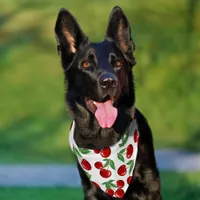 Red Cherries All Over Pattern Pet Bandana Collar