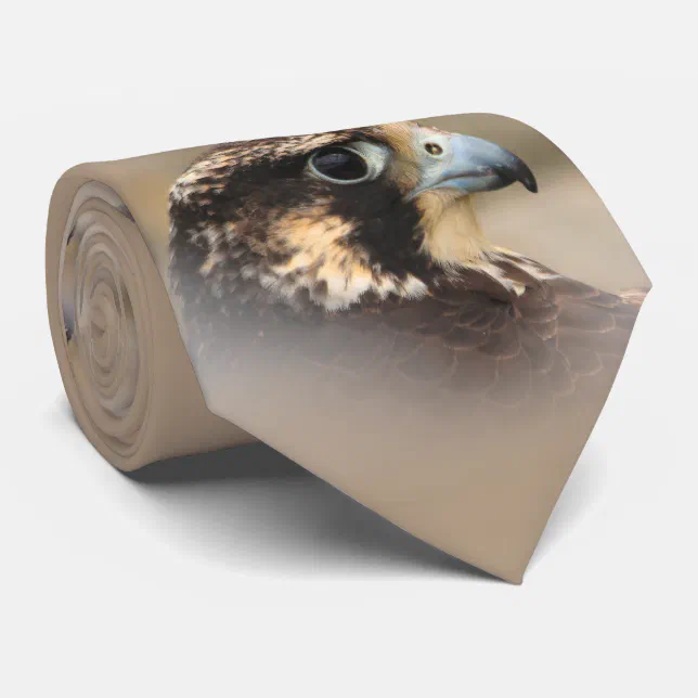 Vignetted Profile of a Peregrine Falcon Tie