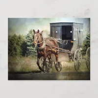 Horse and Buggy in Rural Iowa Postcard