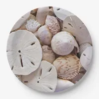 Sand Dollars Paper Plates