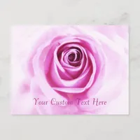 Love Pink Rose Custom text Postcard