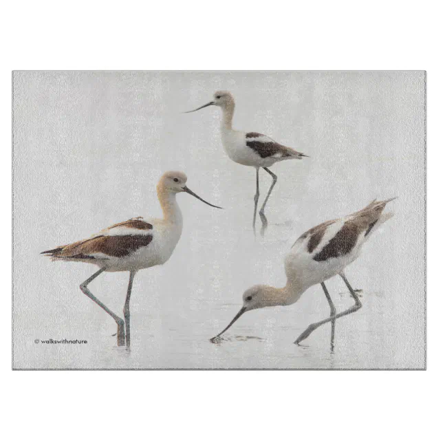 Stunning American Avocets Birds on the Beach Cutting Board