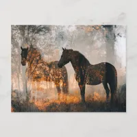 Horses Double Exposure Postcard