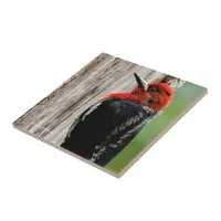 Meeting a Red-Breasted Sapsucker Ceramic Tile