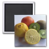 Citrus Fruit Magnet