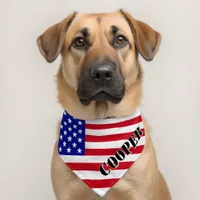 American Flag Name Pet Bandana Collar