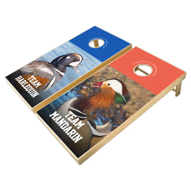 Beautiful Harlequin and Mandarin Ducks Cornhole Set