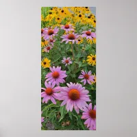 Pink and Yellow Cone Flowers Nature Photography Poster