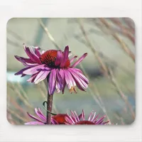 Coneflower Mouse Pad