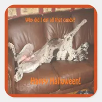 Great Dane Ate Too Much Halloween Candy Square Sticker