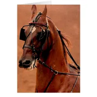 Pleasure Harness Saddlebred Digital Art