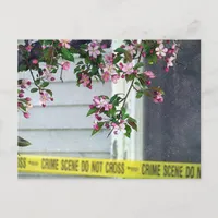 Pretty Ugly Postcard