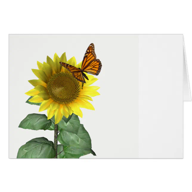 Pretty Yellow Sunflower and Orange Butterfly